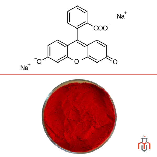 Ultra high purity Fluorescein Powder (Sodium salt) 100 gms - Image 2