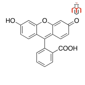 Fluorescein-structure