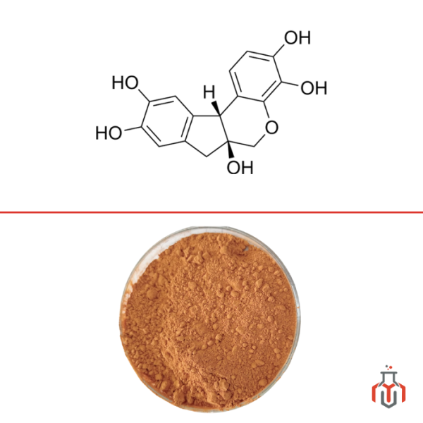 Buy Hematoxylin